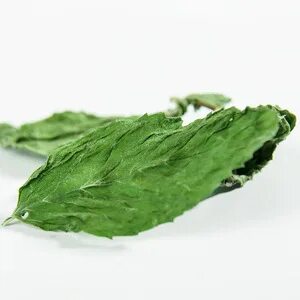 تصویر 3 از قیمت نعناع خشک محلی + عمده